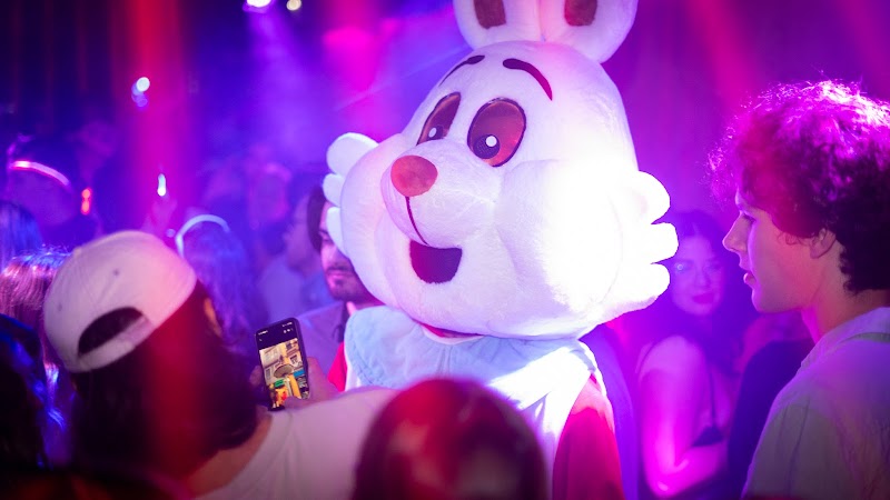Nightclub cover