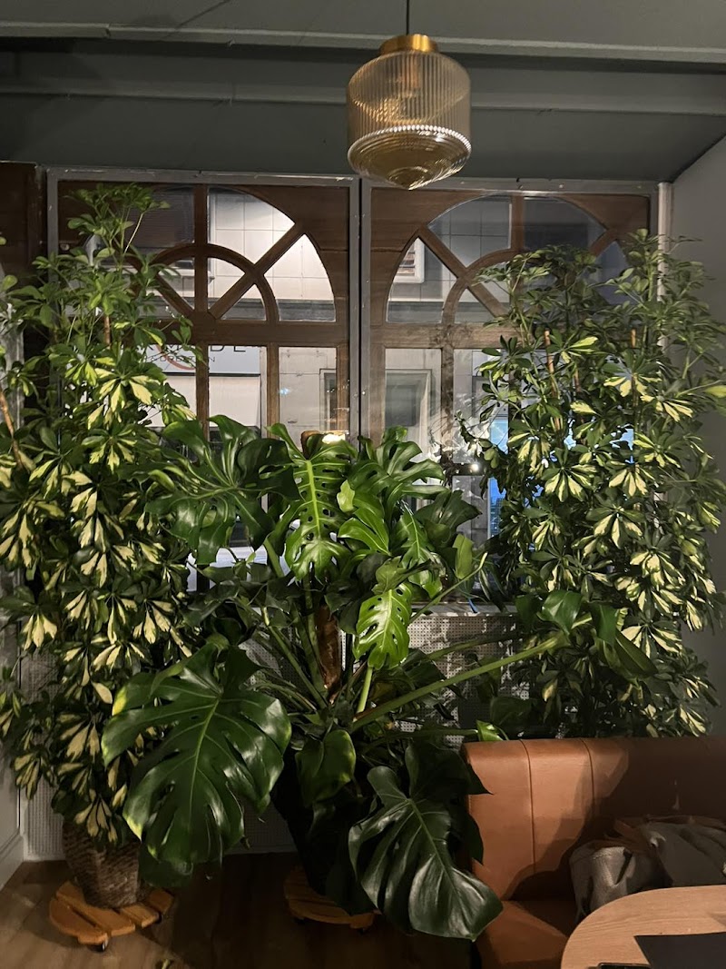 Place Image