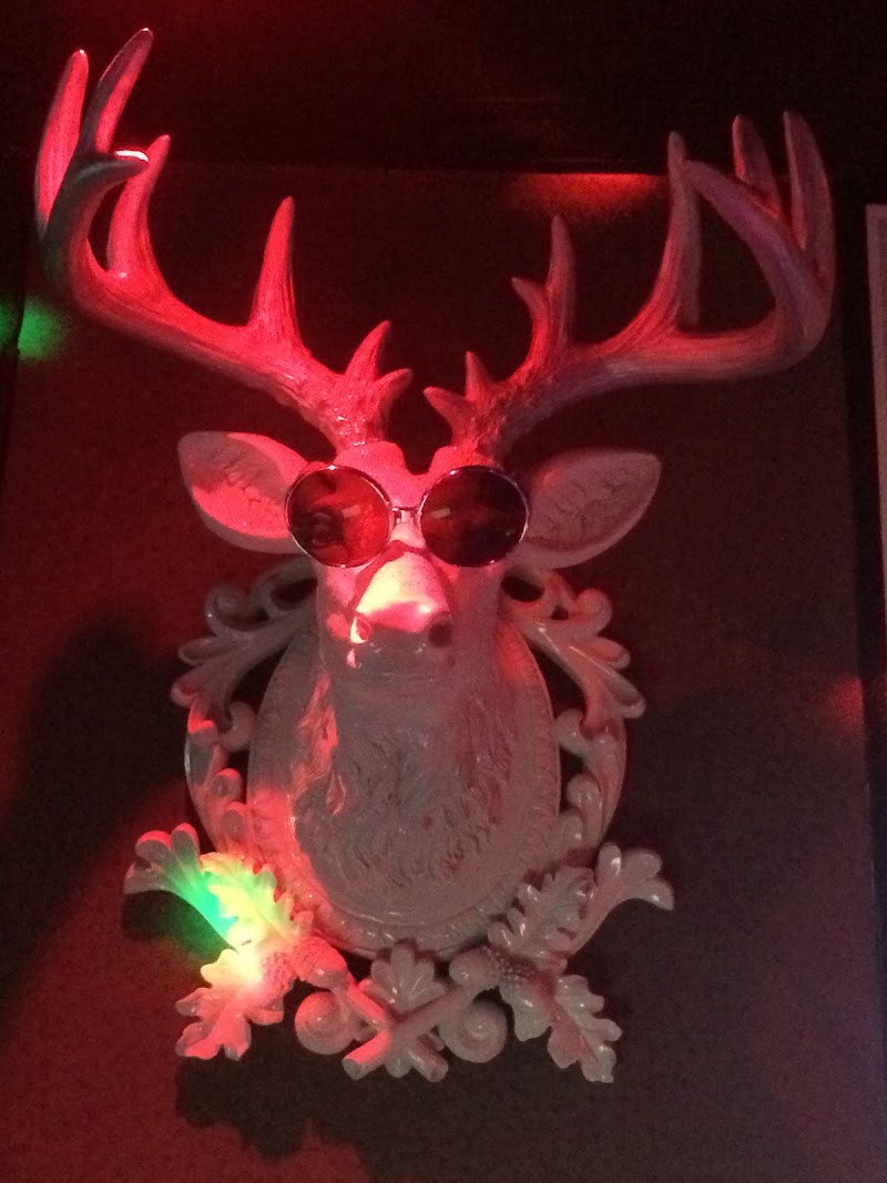 Nightclub cover