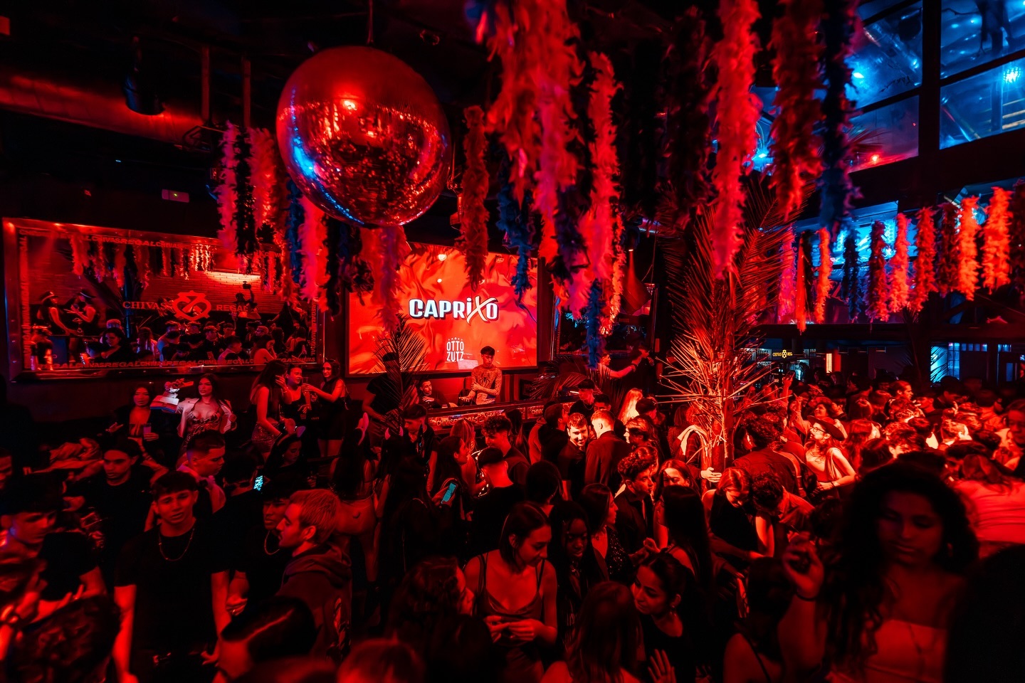 Nightclub cover