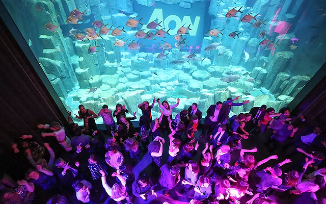 Nightclub cover