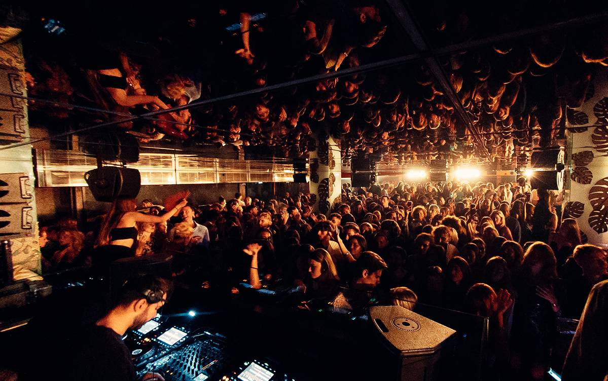 Nightclub cover
